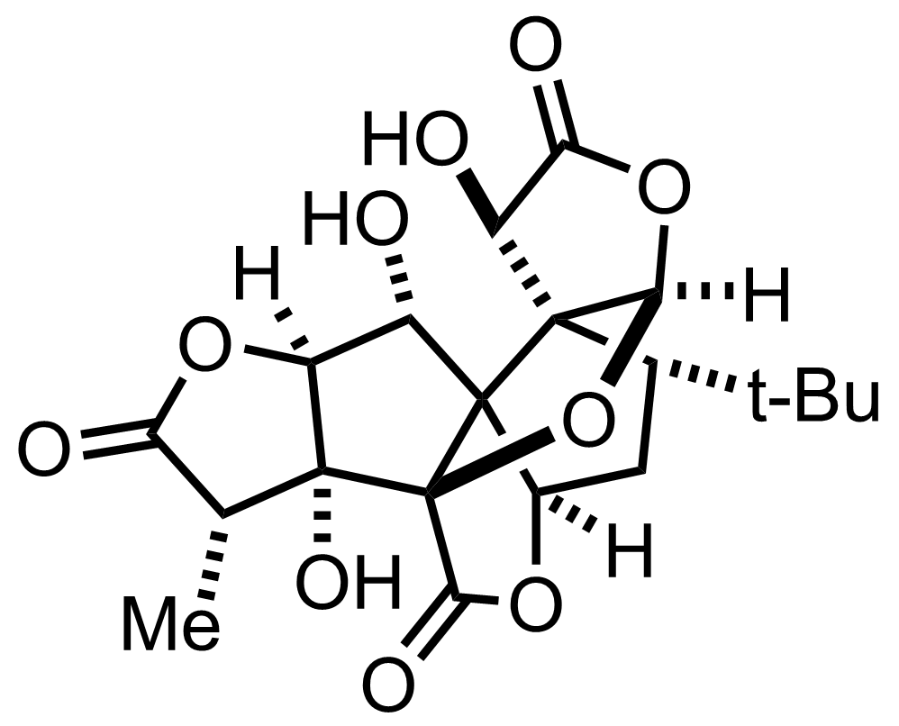 Structure of Ginkgolide B
