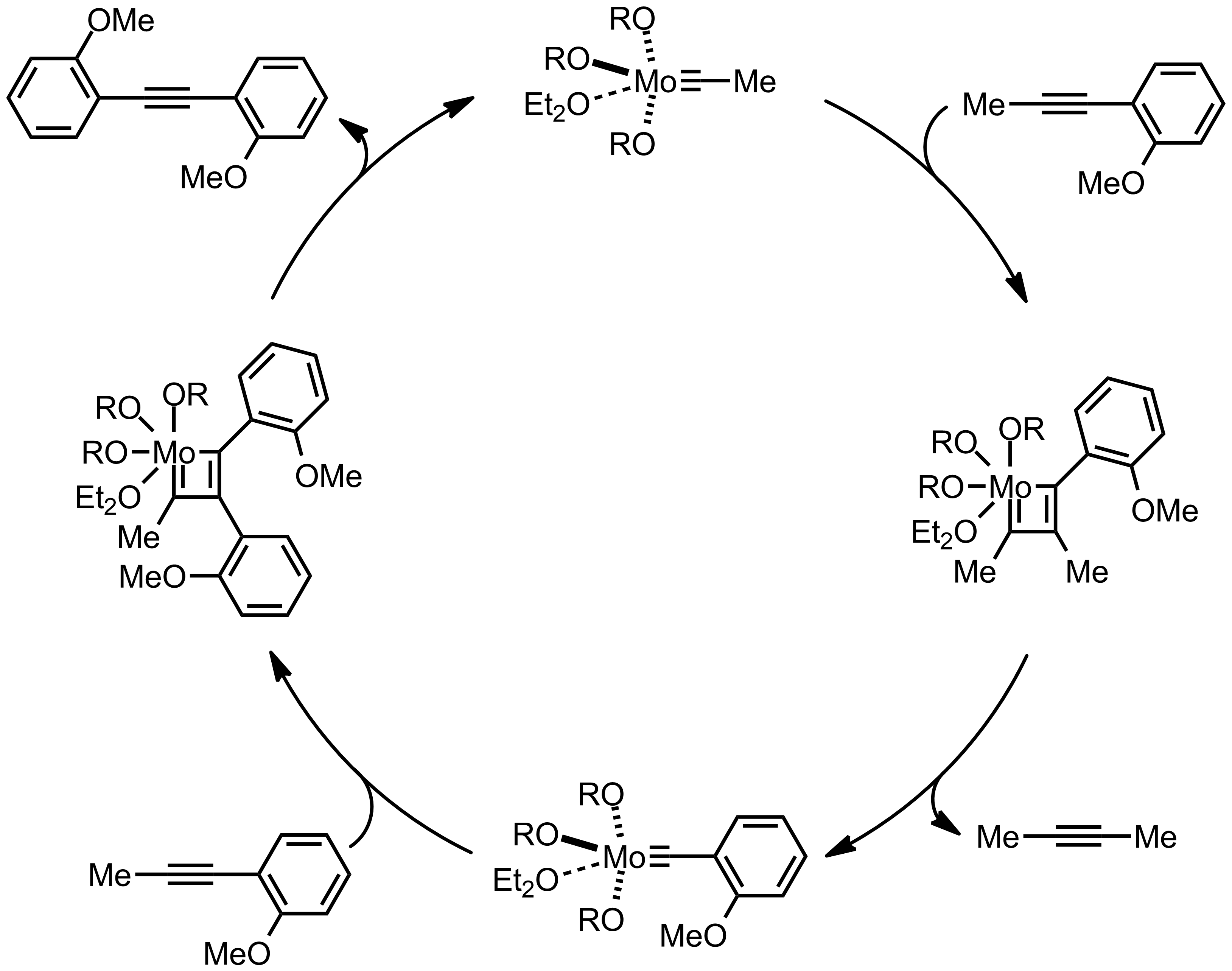 Mechanism of the Alkyne Metathesis