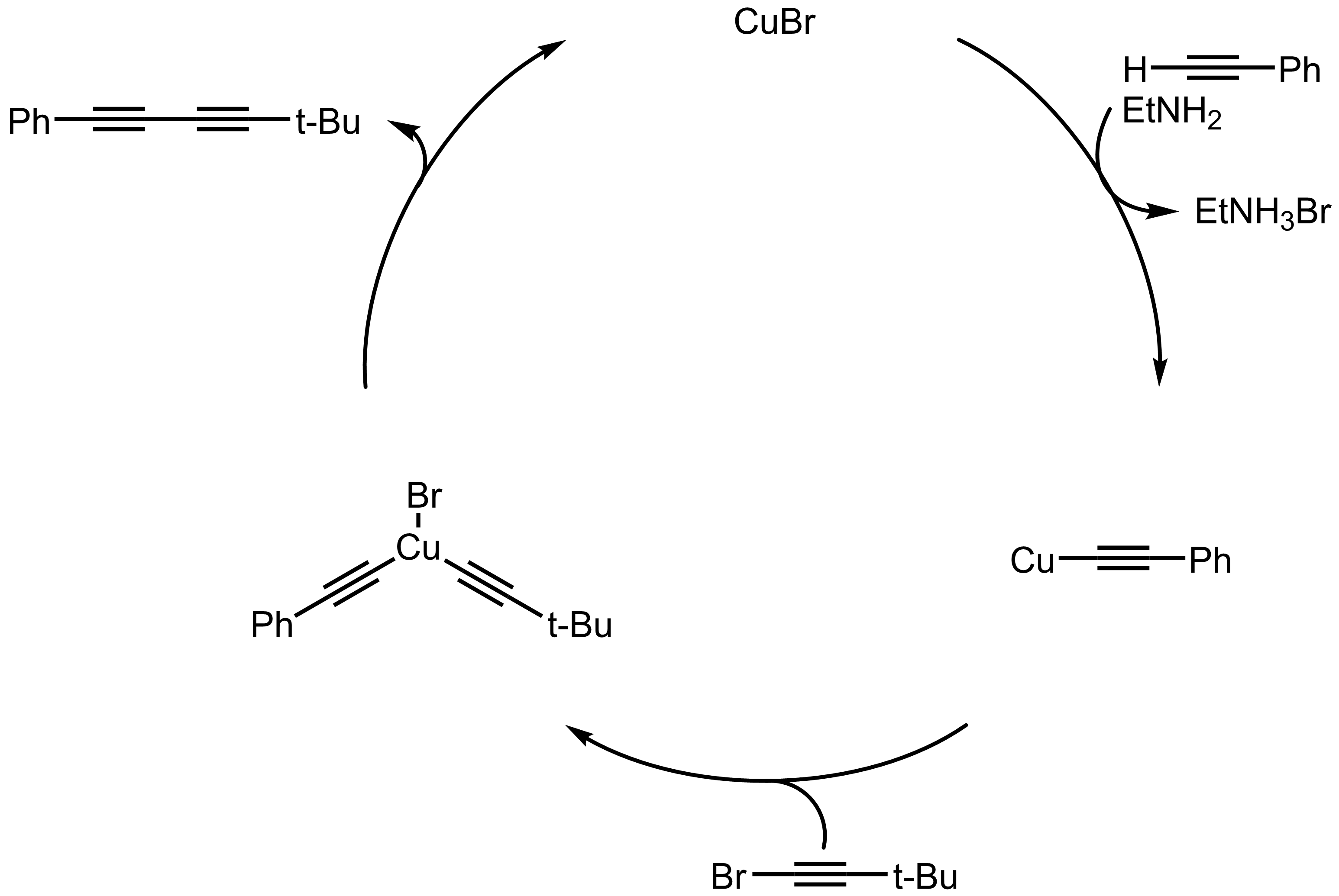 Mechanism of the Cadiot-Chodkiewicz Coupling