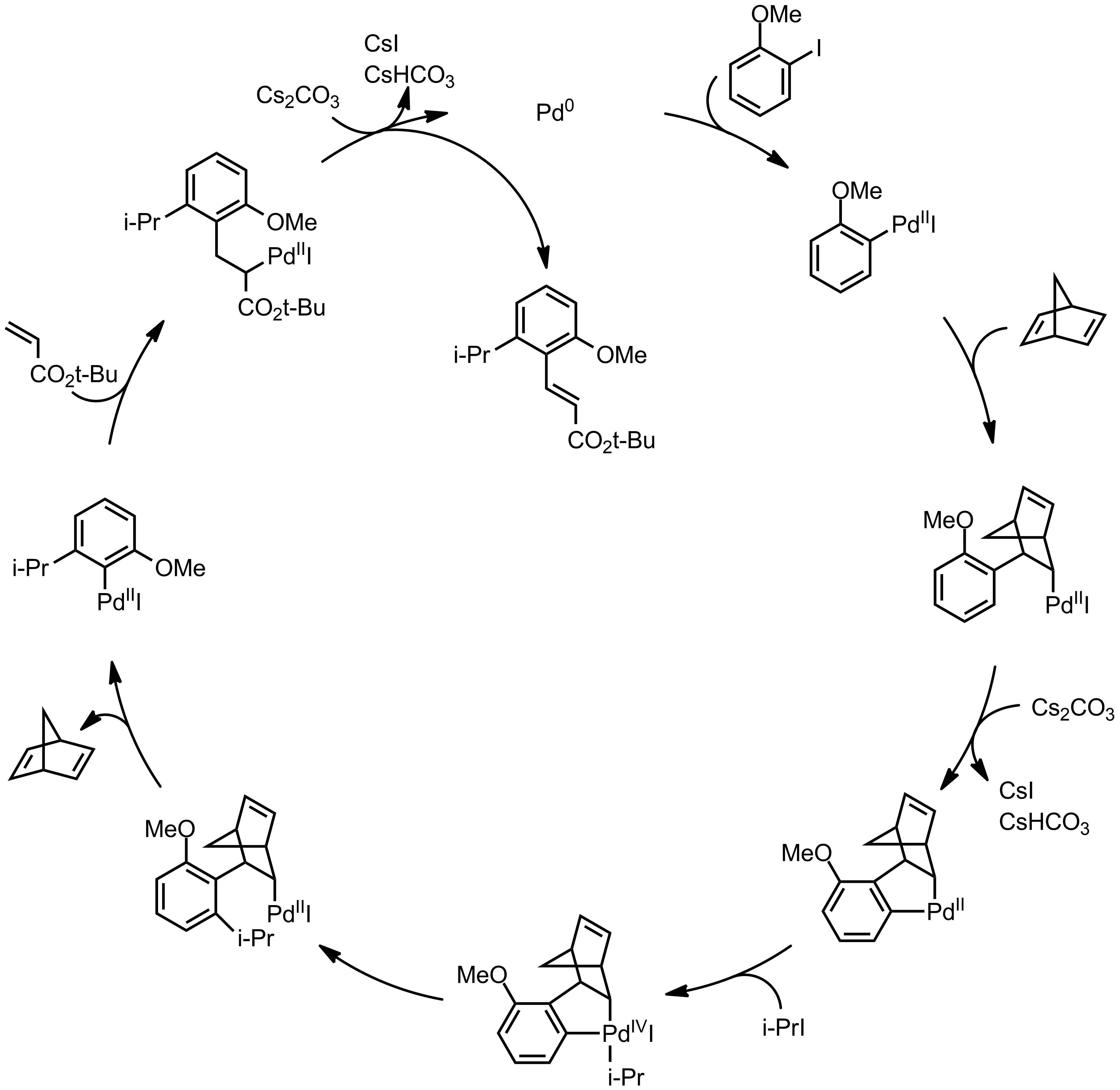 Mechanism of the Catellani Reaction