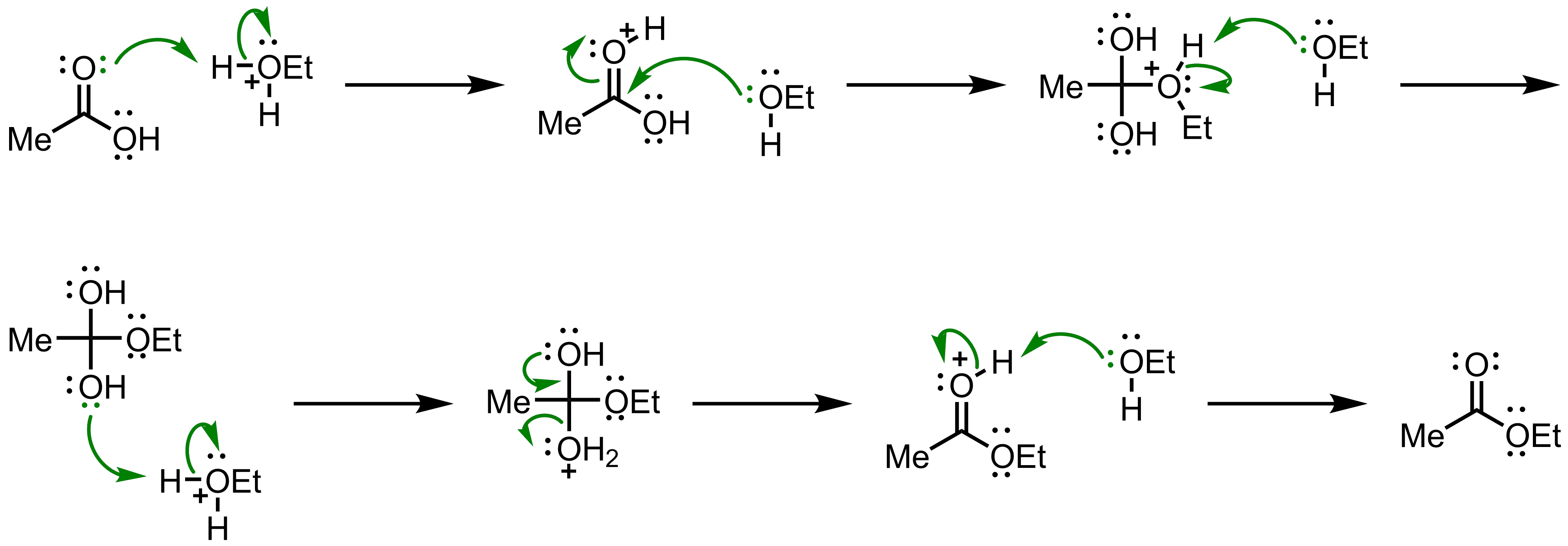 Fischer Esterification