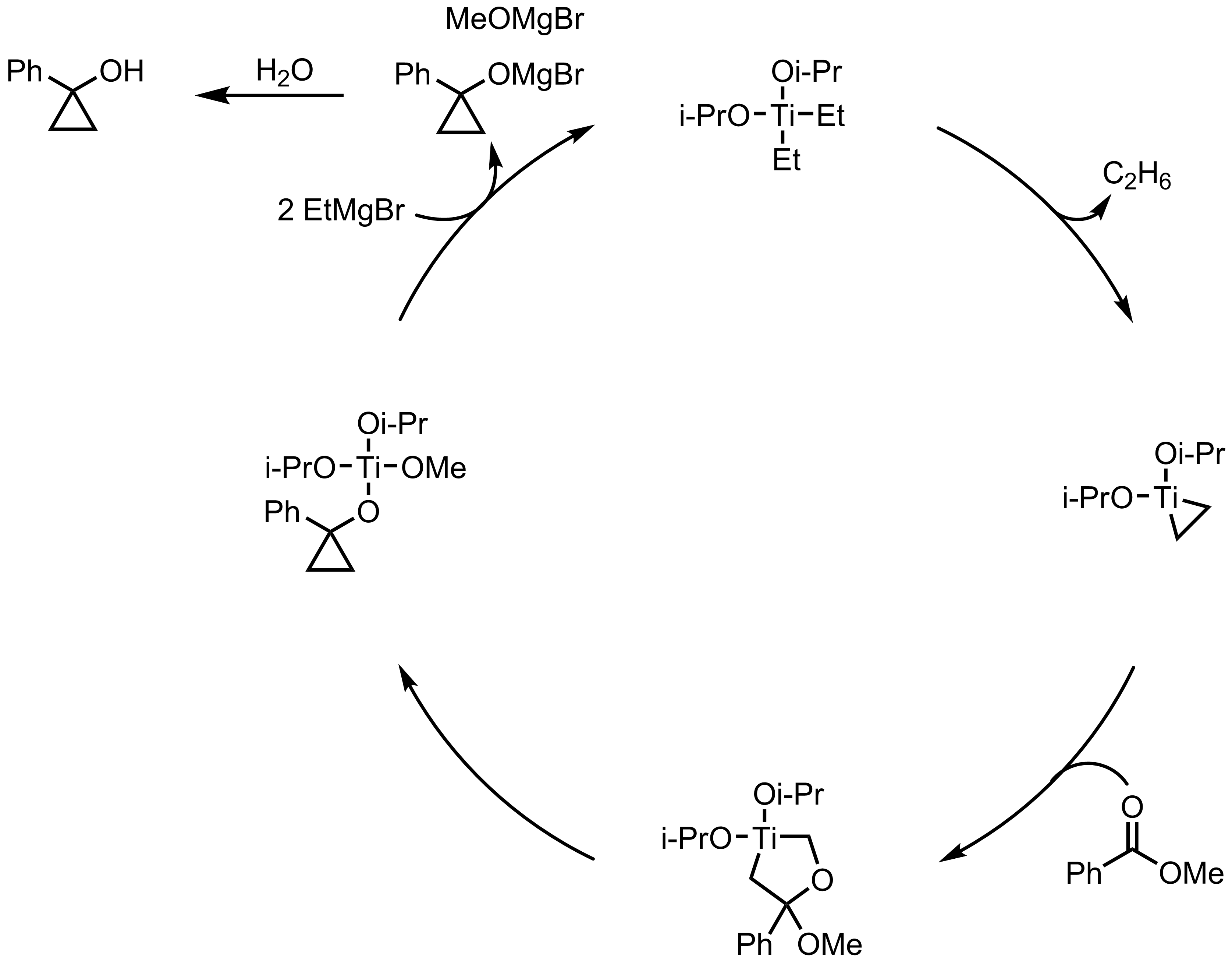Mechanism of the Kulinkovich Reaction