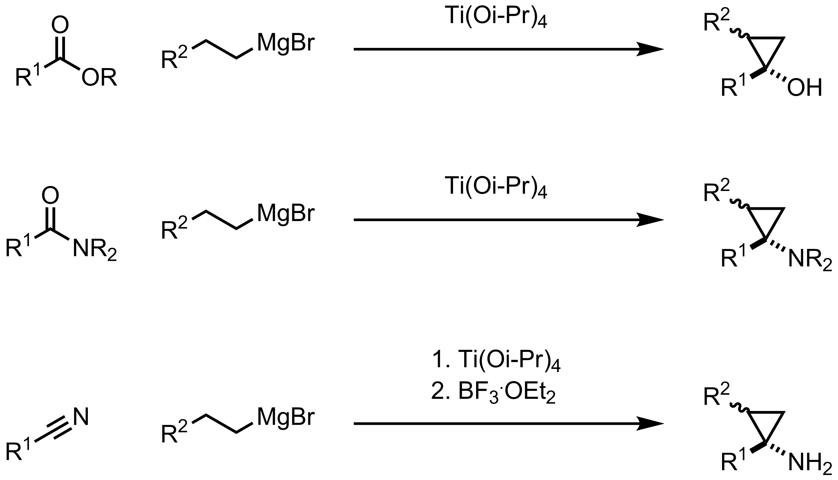 Schematic representation of the Kulinkovich Reaction.