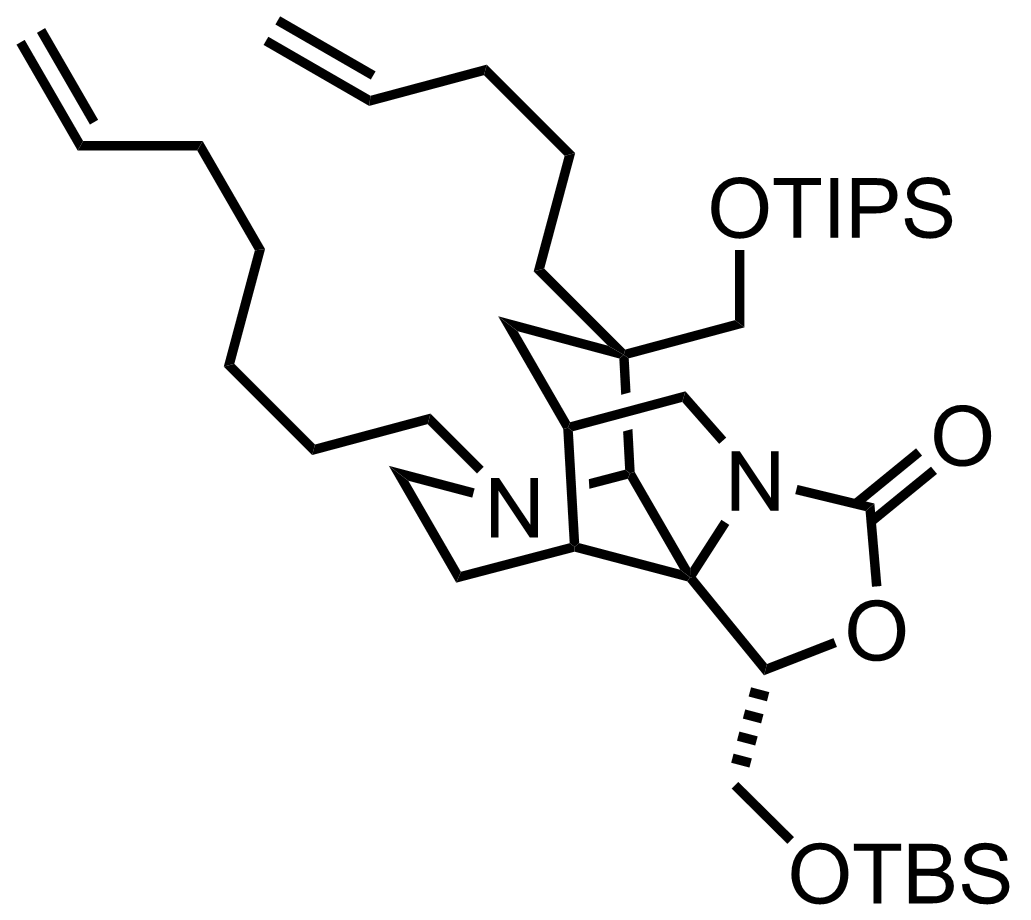 intermediate structure