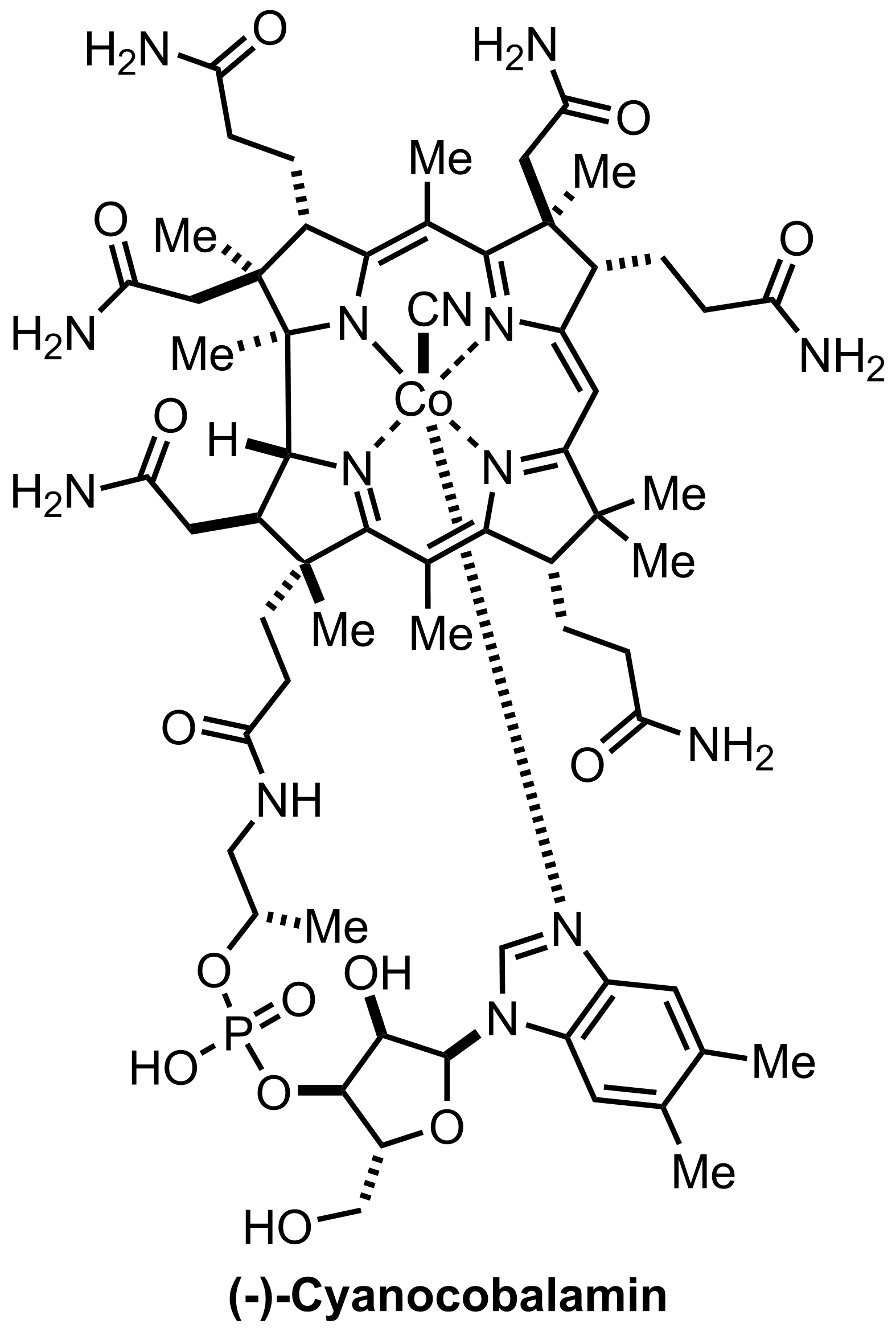 intermediate structure