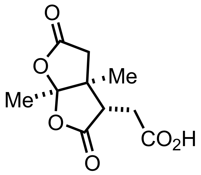 intermediate structure