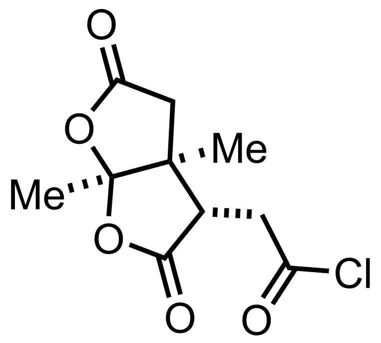 intermediate structure