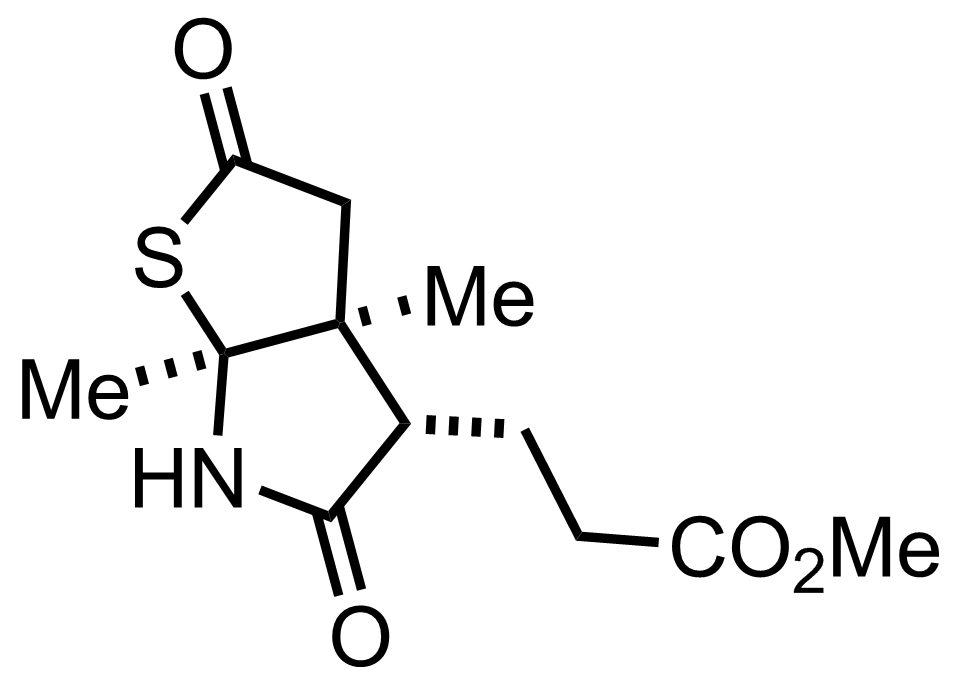 intermediate structure