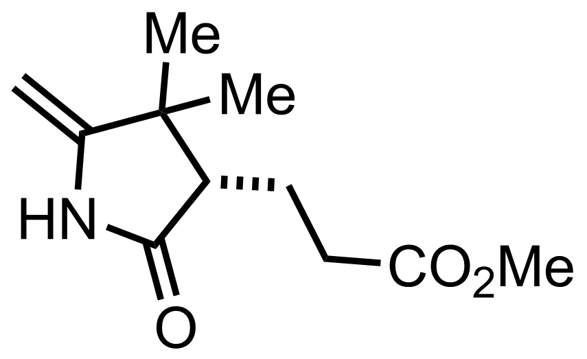 intermediate structure