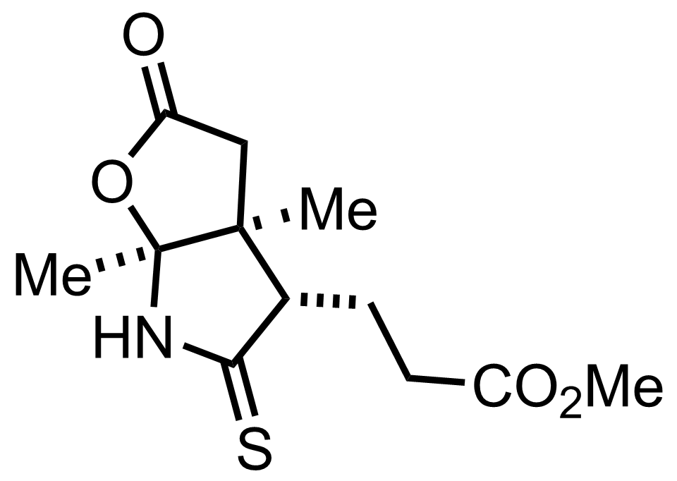 intermediate structure