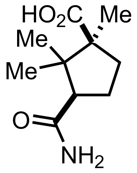 intermediate structure