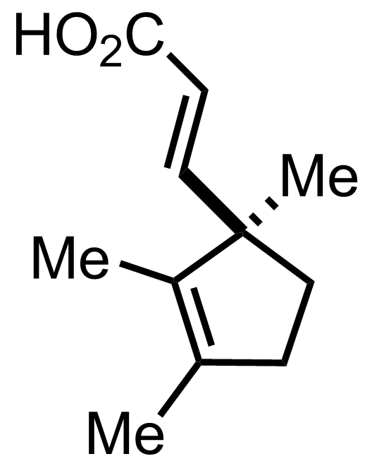 intermediate structure