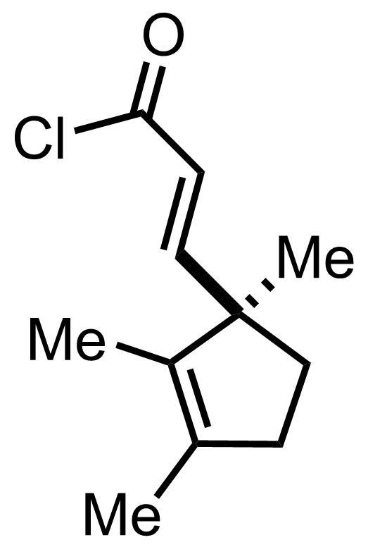 intermediate structure