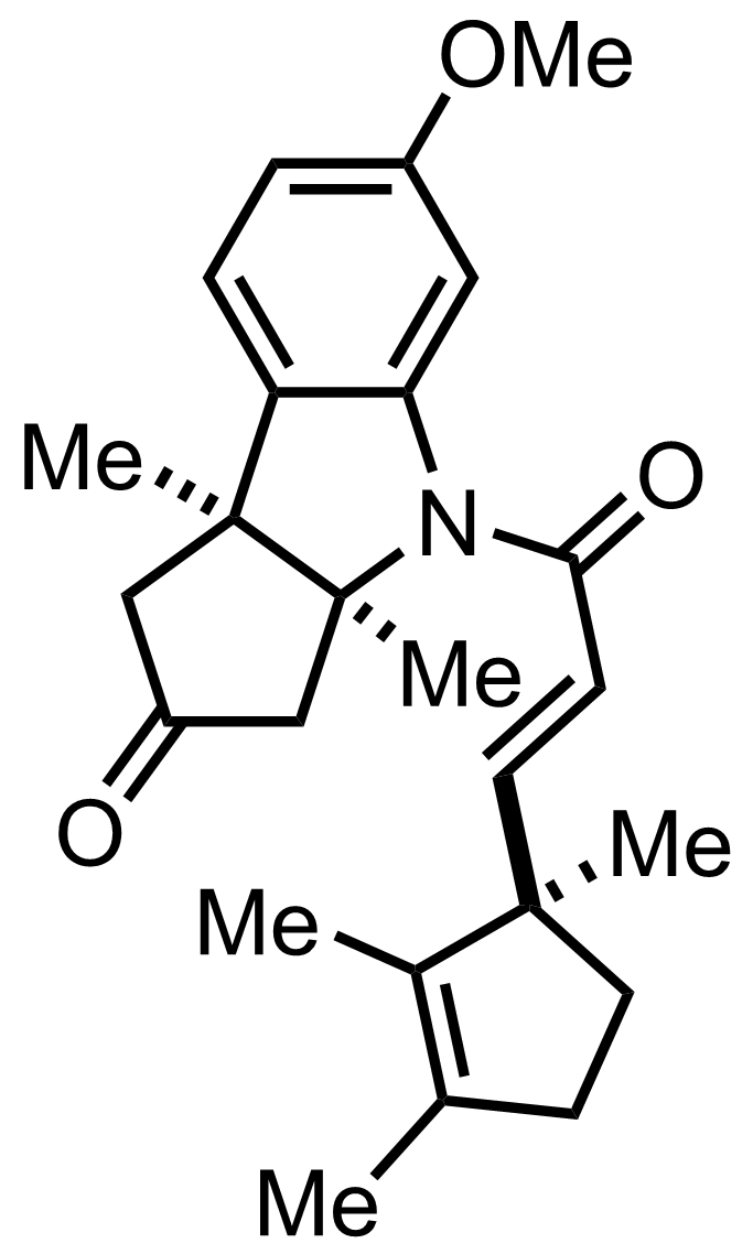 intermediate structure