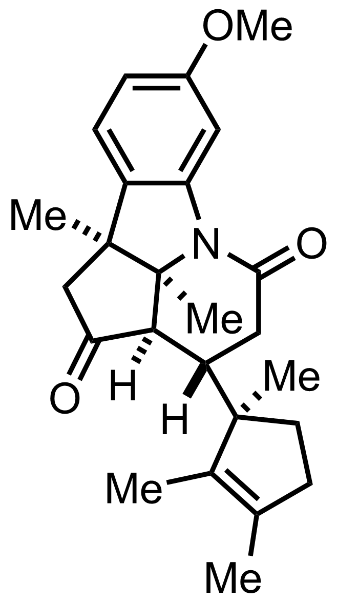 intermediate structure