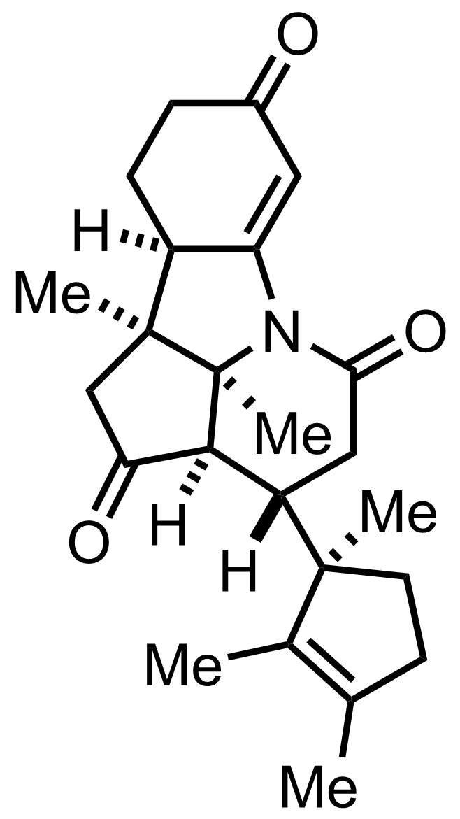 intermediate structure