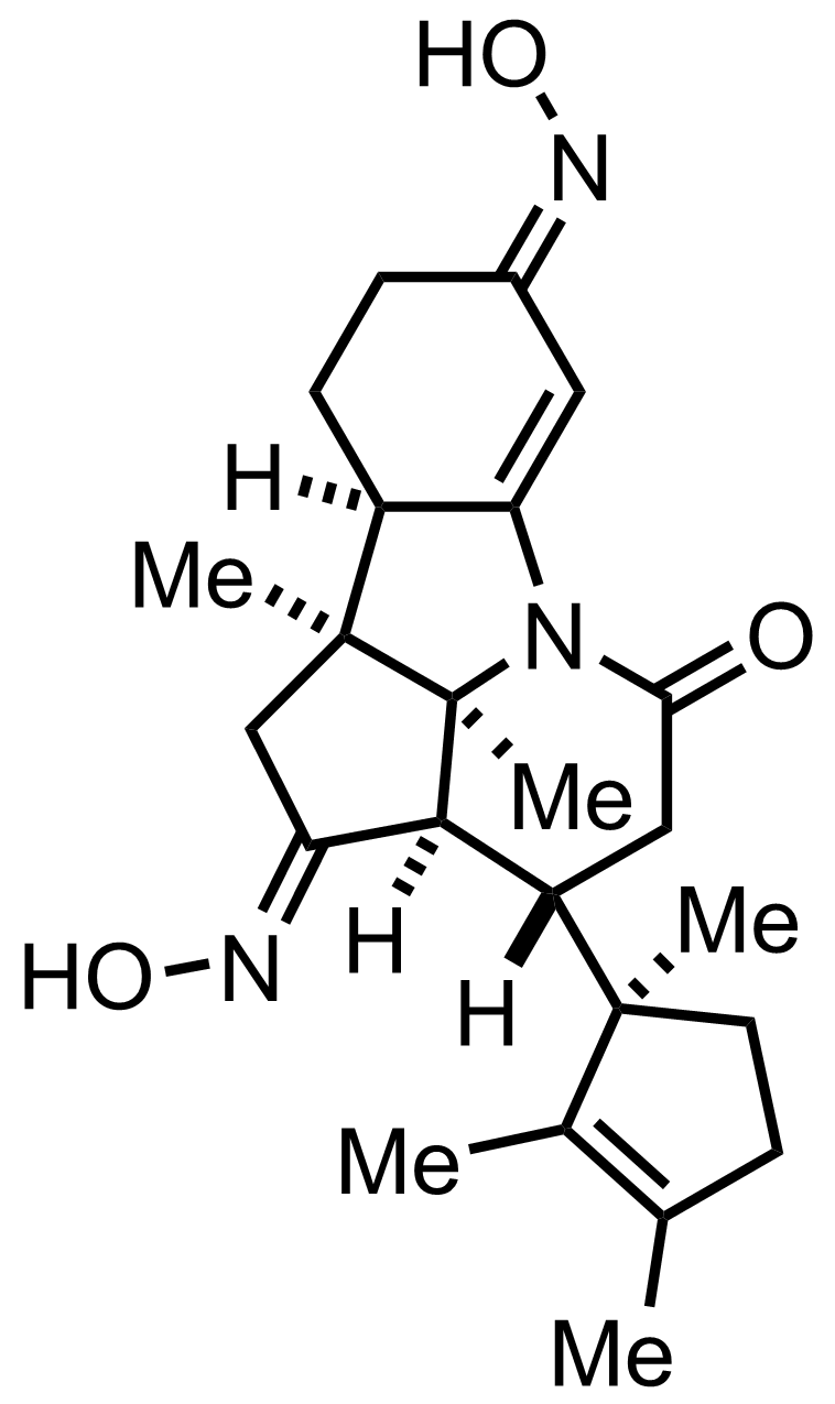 intermediate structure