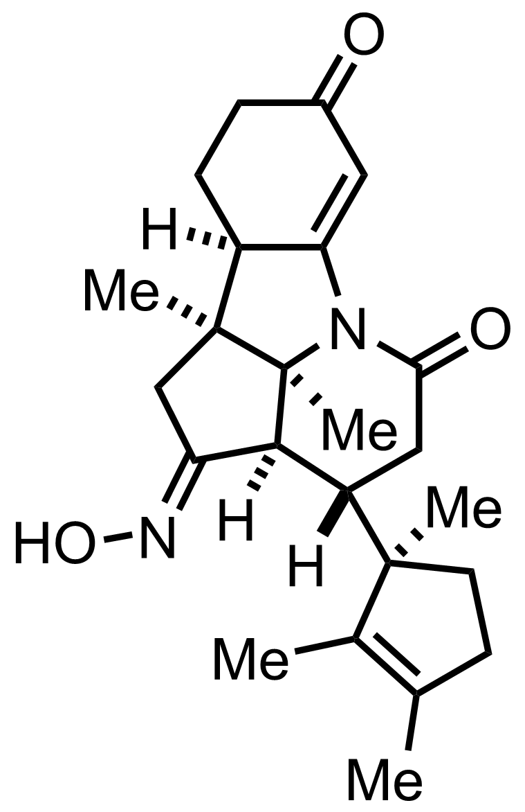 intermediate structure