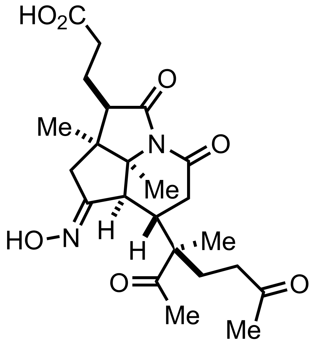 intermediate structure