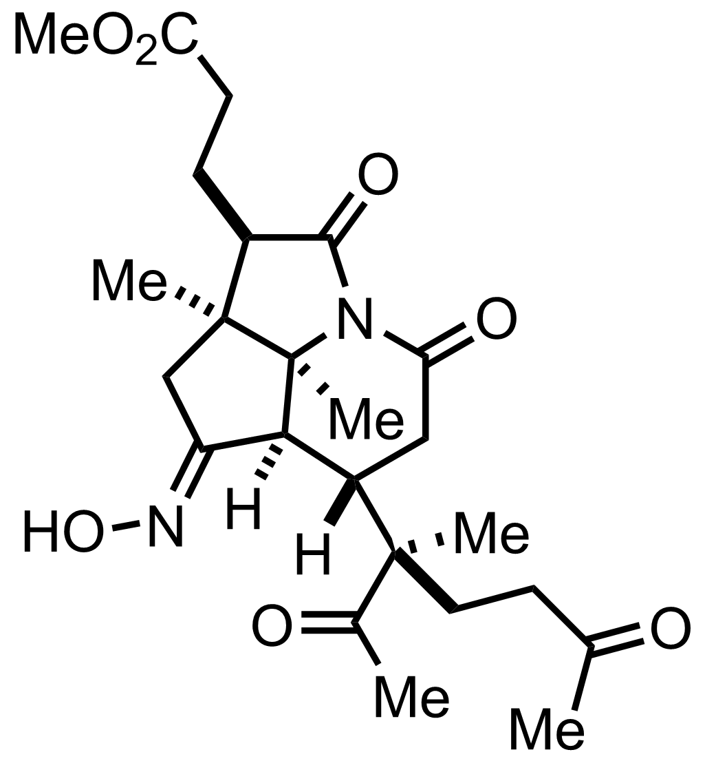 intermediate structure