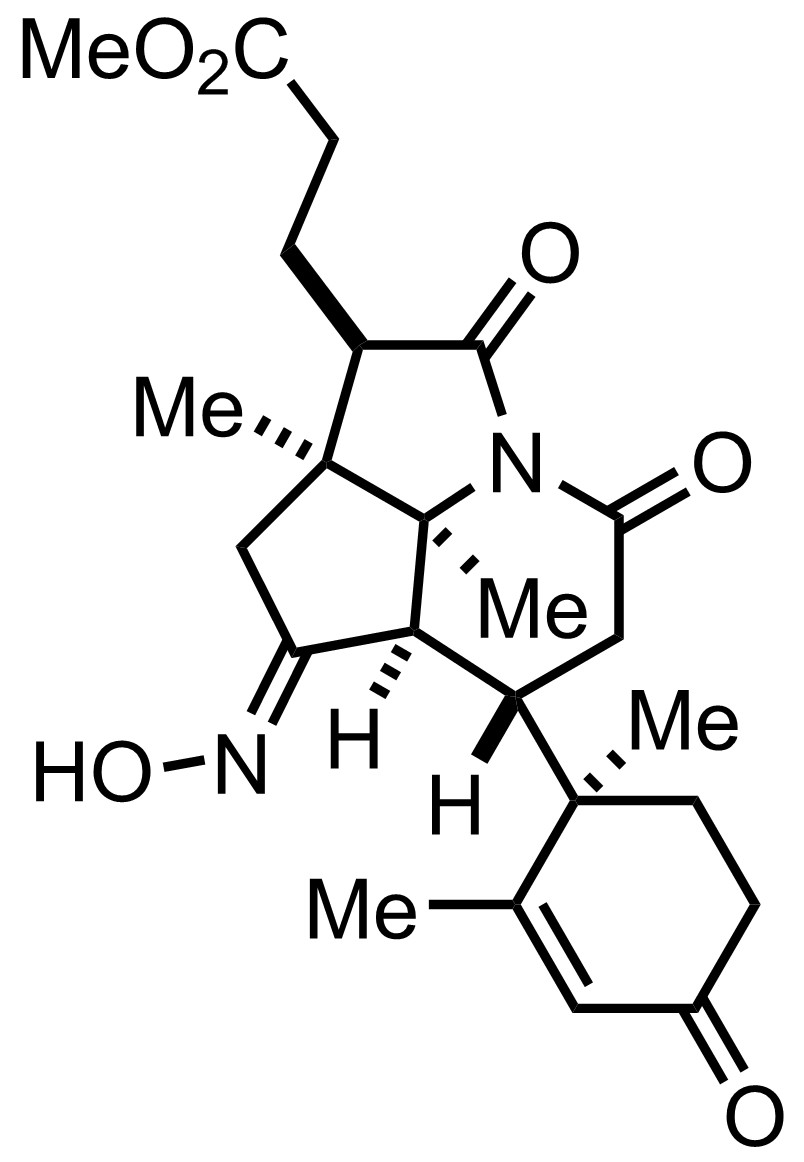 intermediate structure