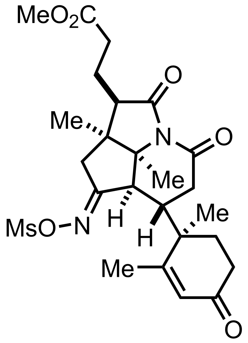 intermediate structure