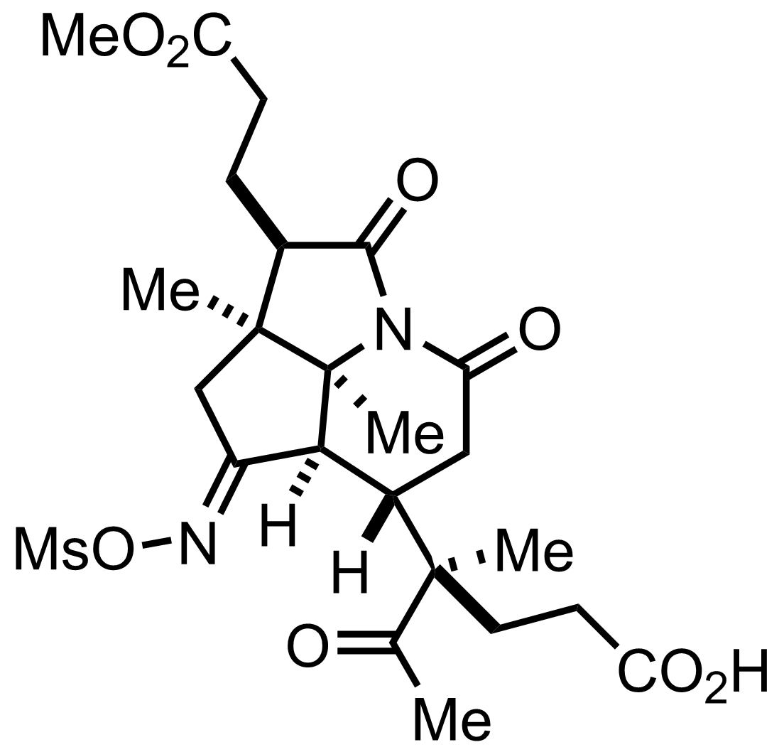 intermediate structure