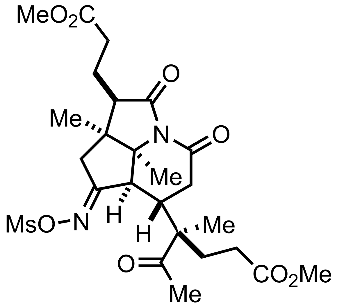 intermediate structure