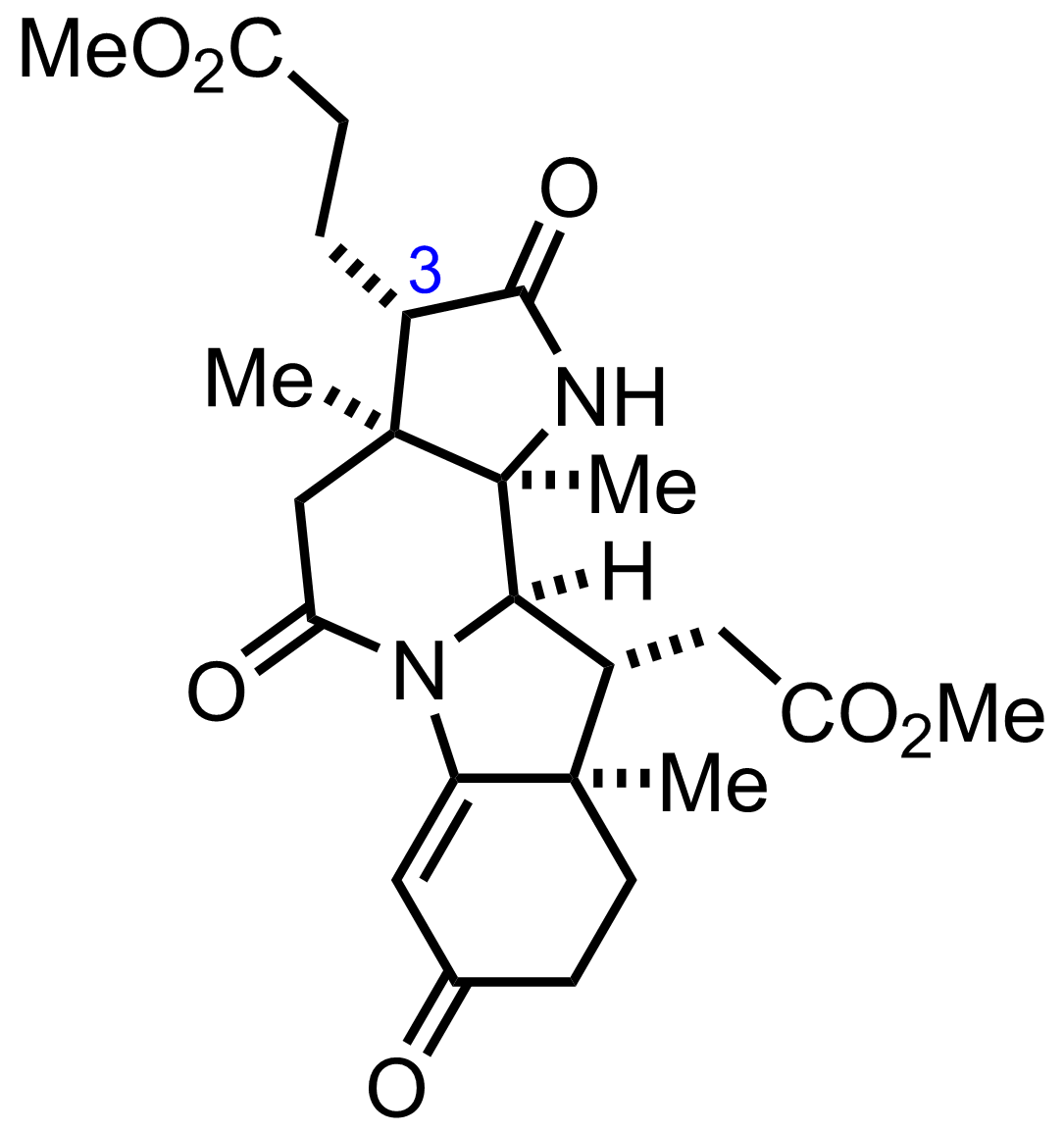 intermediate structure