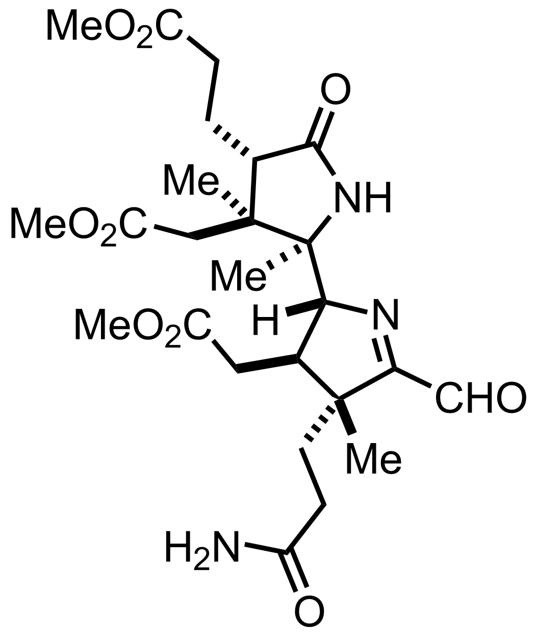 intermediate structure