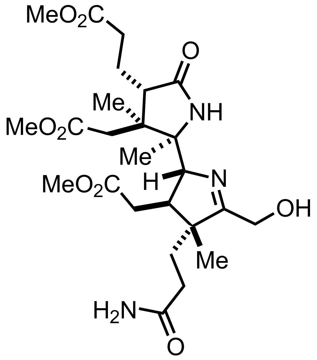 intermediate structure