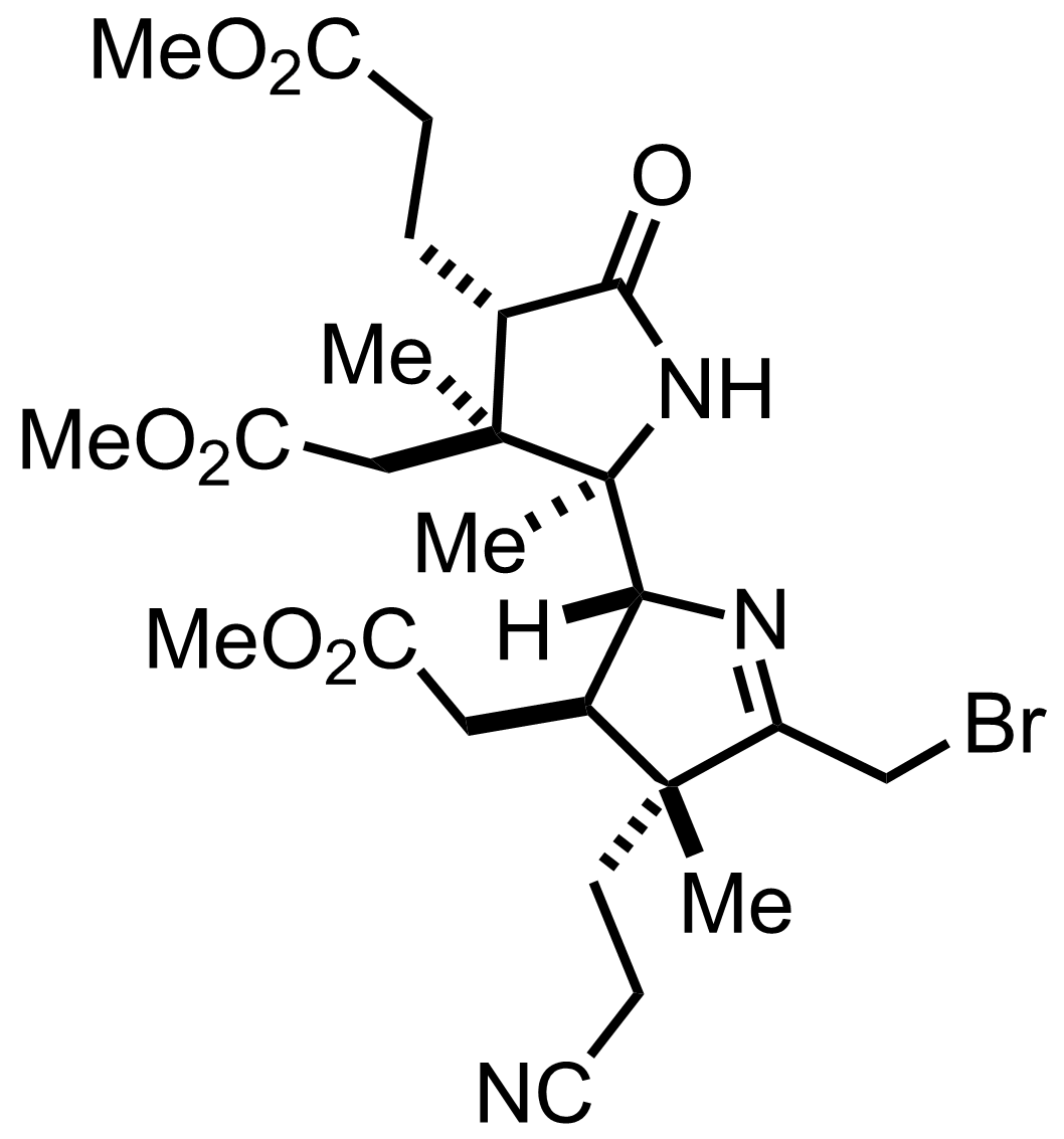 intermediate structure