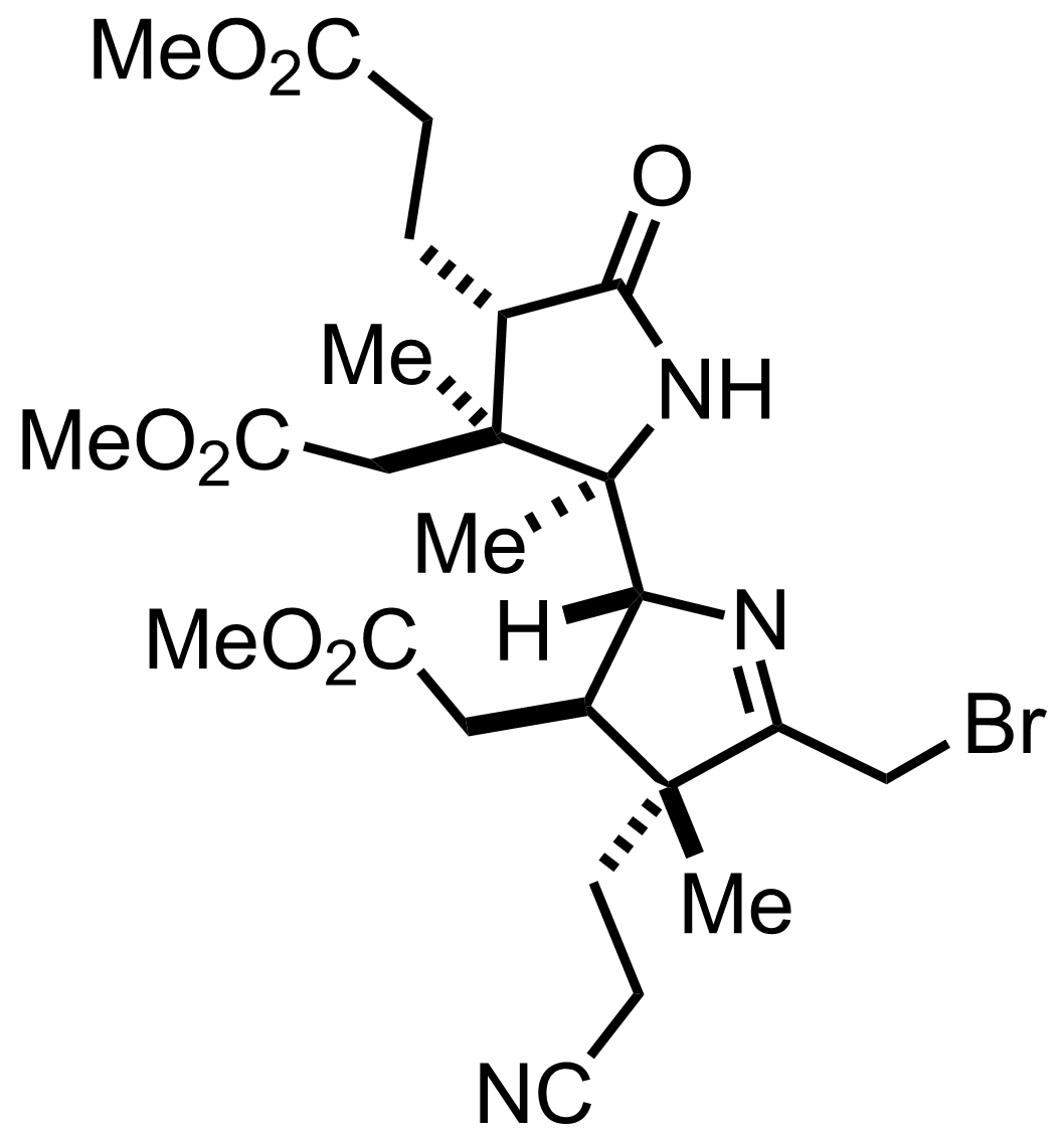 intermediate structure