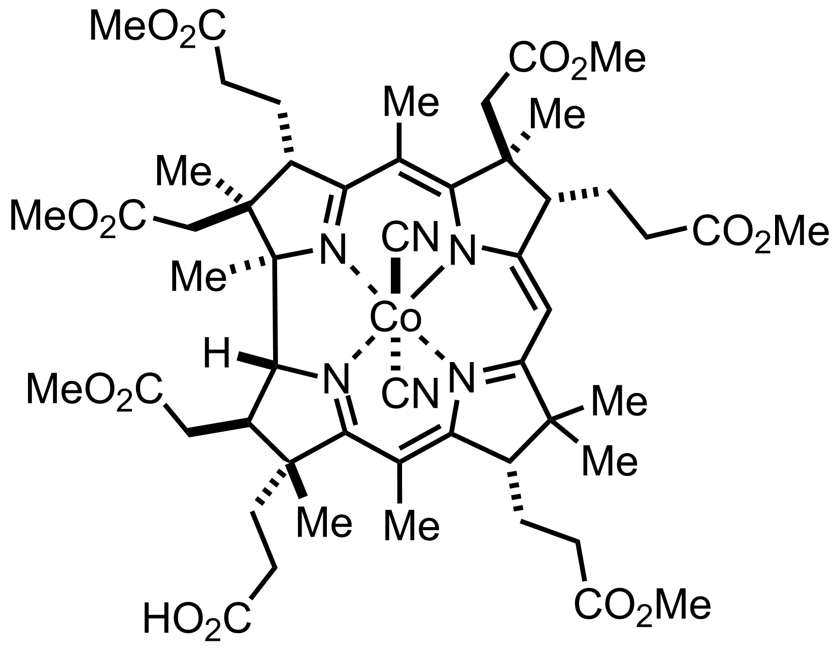 intermediate structure