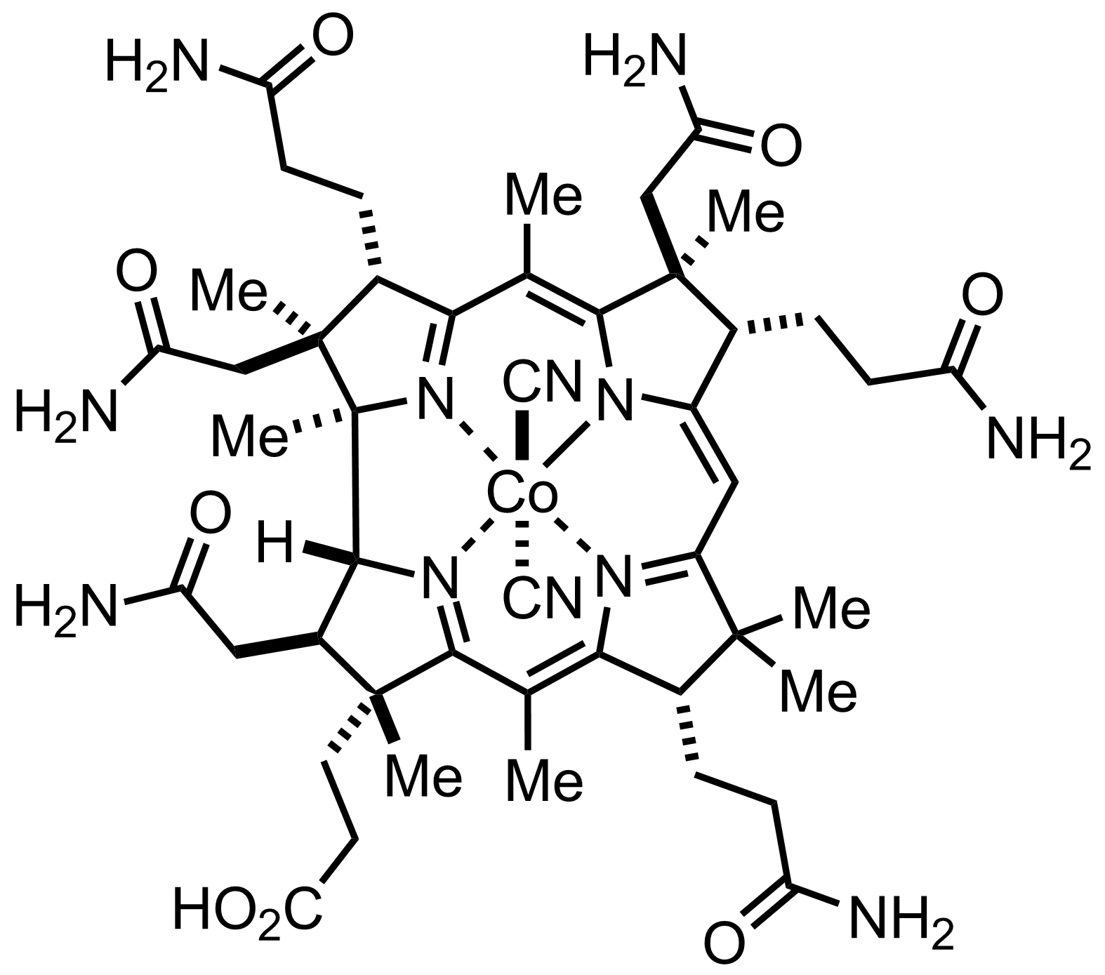 intermediate structure